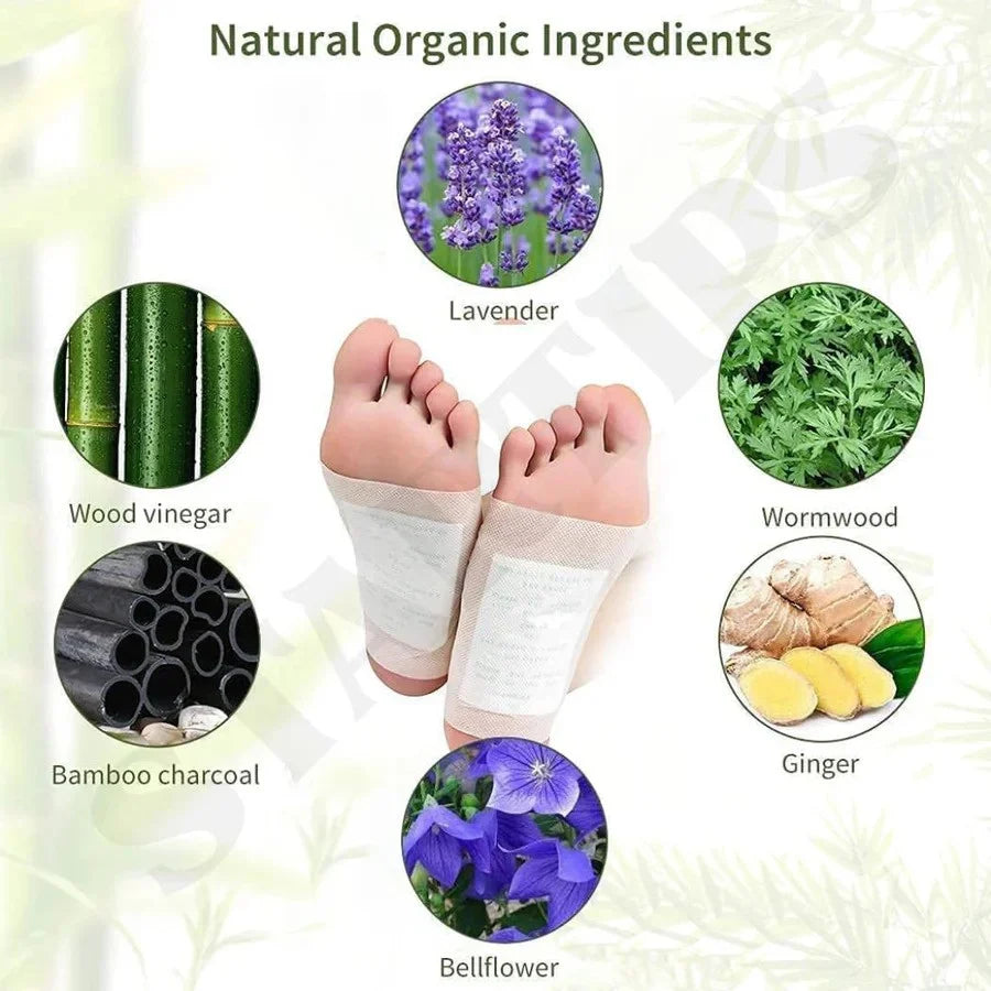 Detox While You Sleep 🌿 - 🌙 ديتوكس أثناء النوم | لاصقات القدم العلاجية للاسترخاء وتجديد الجسم بالكامل